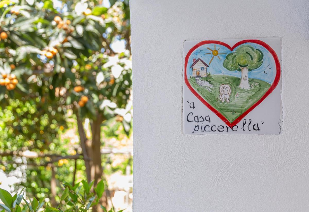 A Casa Piccerella - Tiny House Sorrento